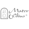 Cliente - Mater Filius
